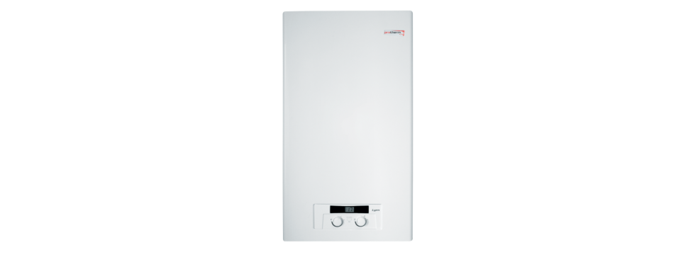 Настенный газовый котел Protherm Рысь НК 11