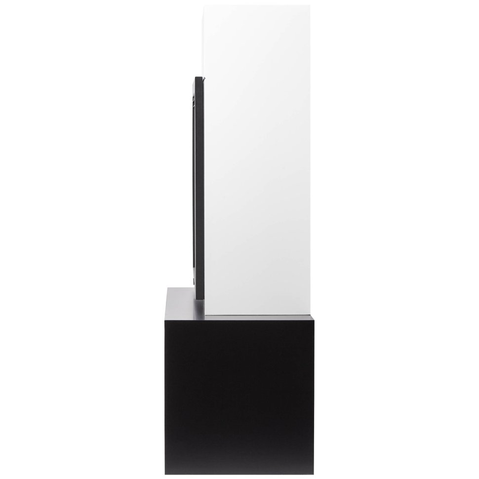 Каминокомплект Firelight Combi 30 с очагом EFP/P-3020LS белый/черный